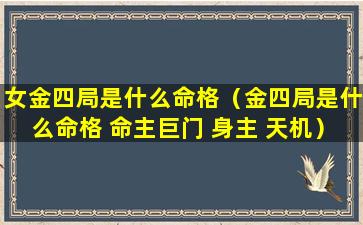 女金四局是什么命格（金四局是什么命格 命主巨门 身主 天机）